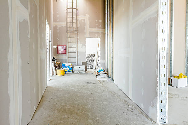 Best Water-Damaged Drywall Repair  in Franklin, WI